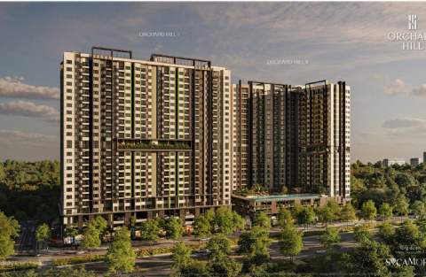 sycamore orchard hill