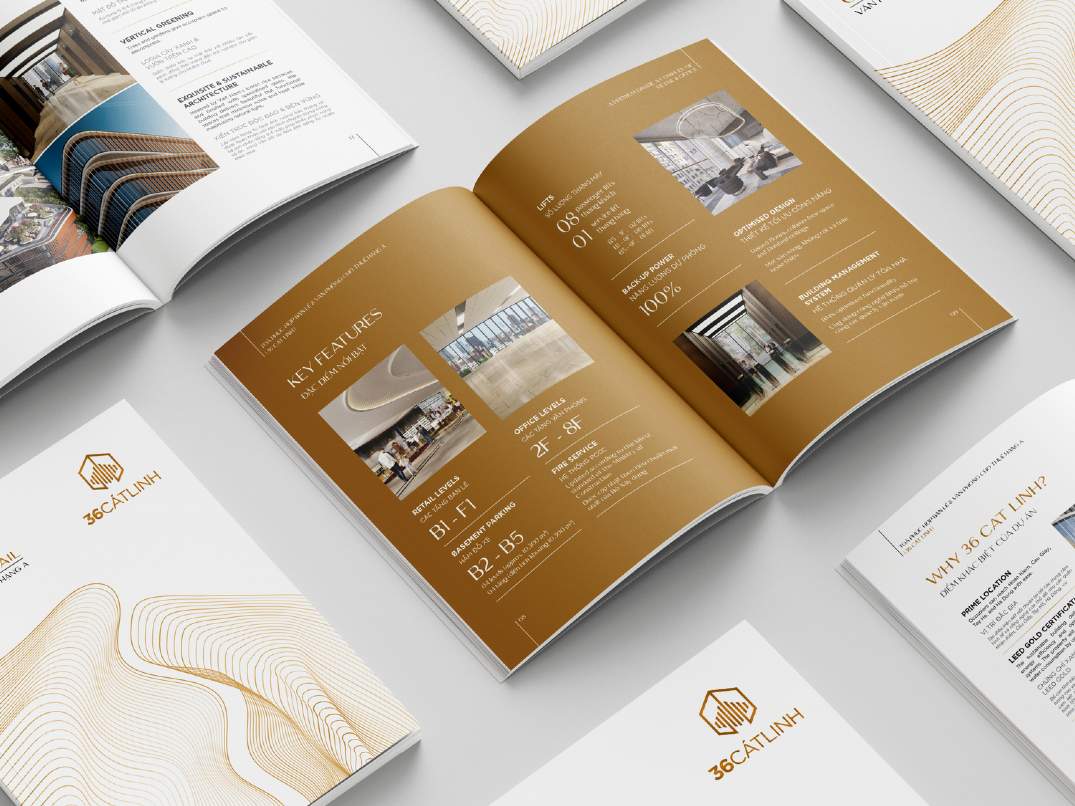 place marketing product for 36 cat linh